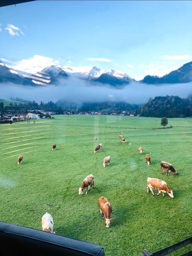 Apartment Weitblick Wald im Pinzgau Zewnętrze zdjęcie