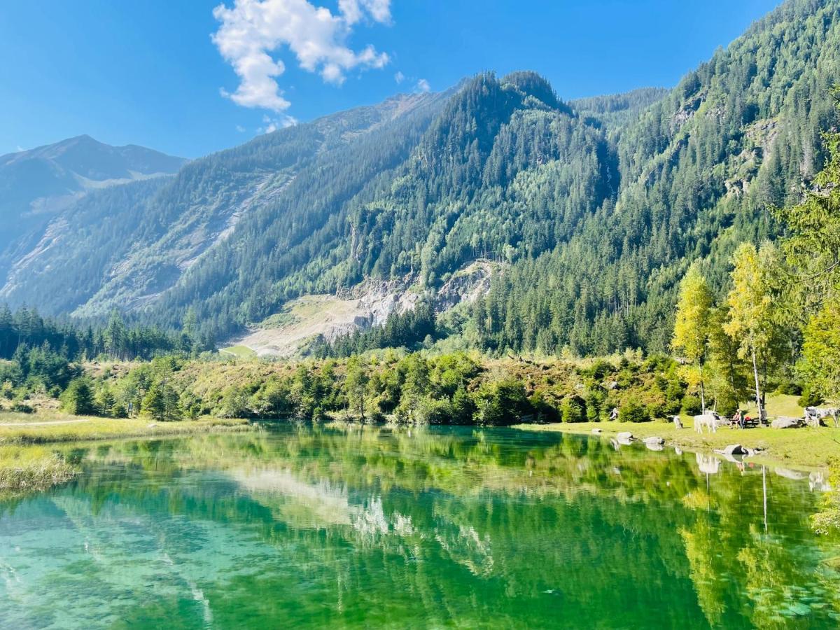 Apartment Weitblick Wald im Pinzgau Zewnętrze zdjęcie
