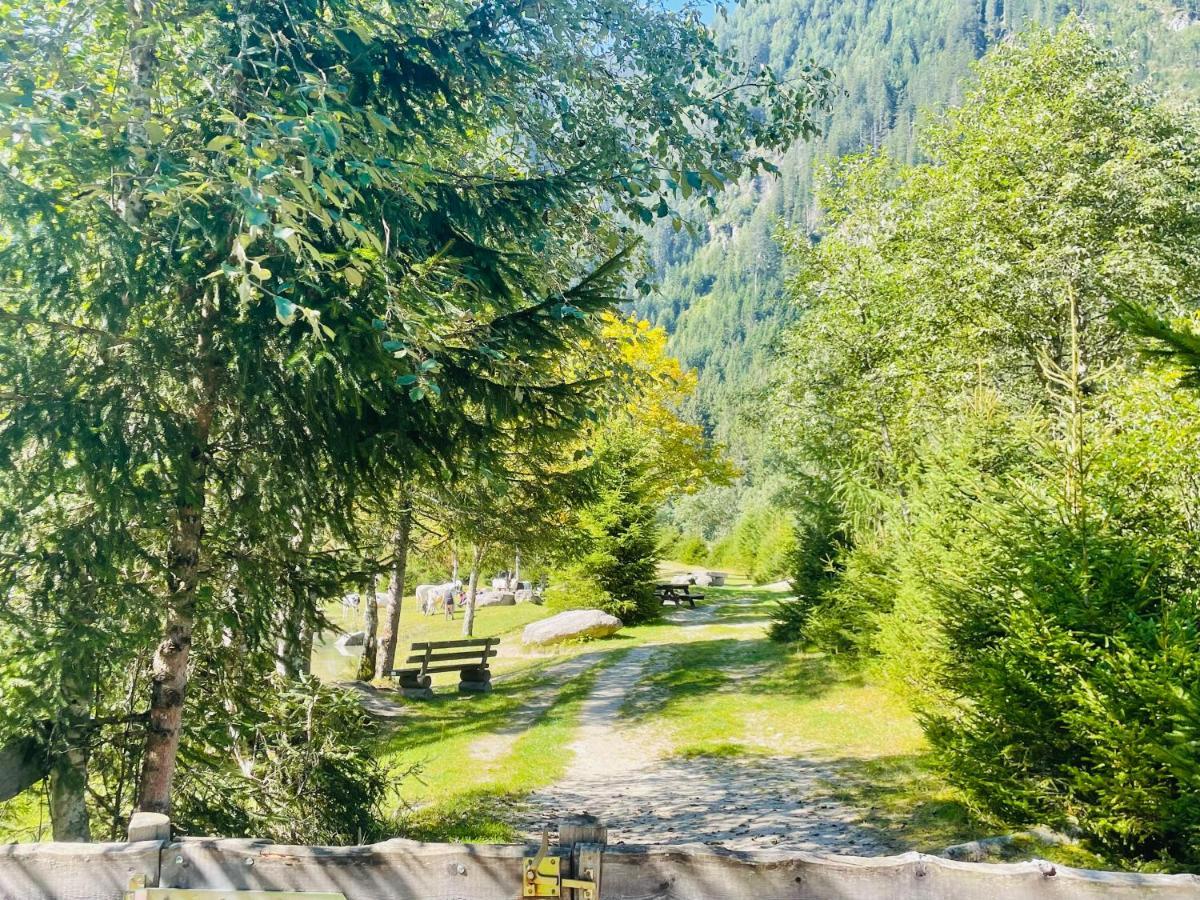 Apartment Weitblick Wald im Pinzgau Zewnętrze zdjęcie